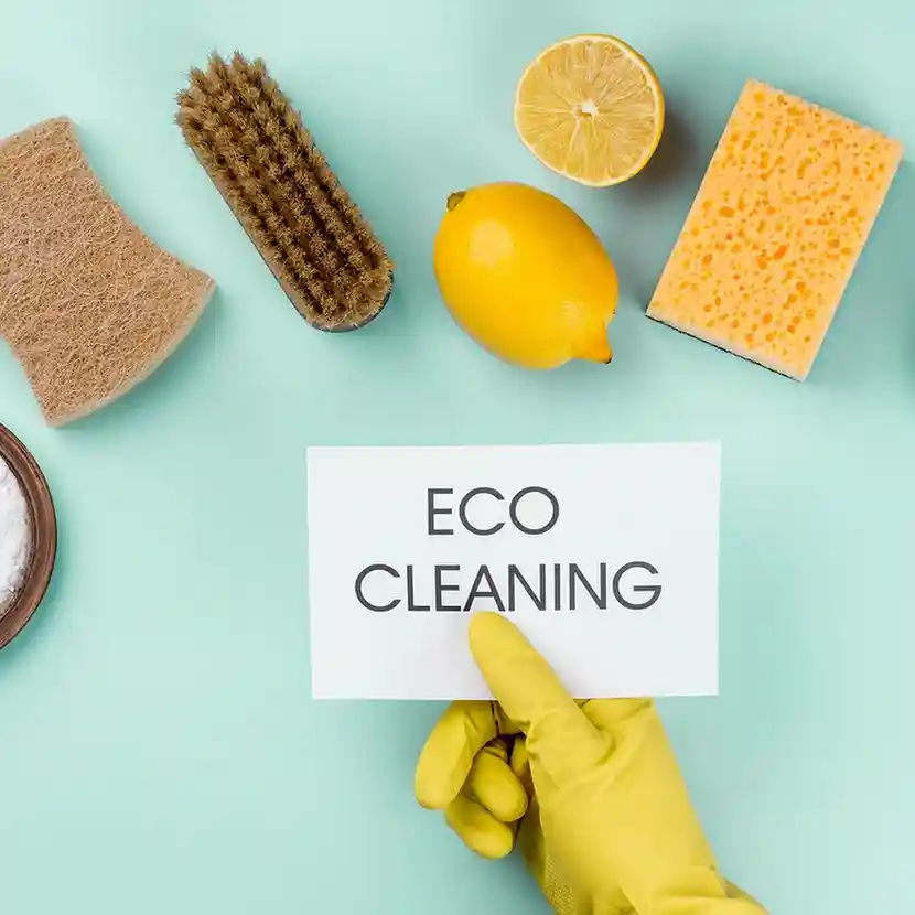 Eco-Friendly House Cleaning in Lucknow by Radiance Cleaning