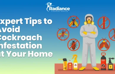 Expert Tips to Avoid Cockroach Infestation at Your Home
