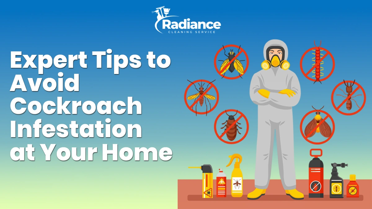 Expert Tips to Avoid Cockroach Infestation at Your Home