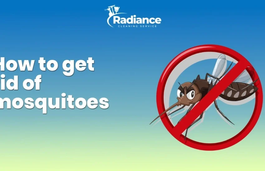 How to get rid of mosquitoes at home?