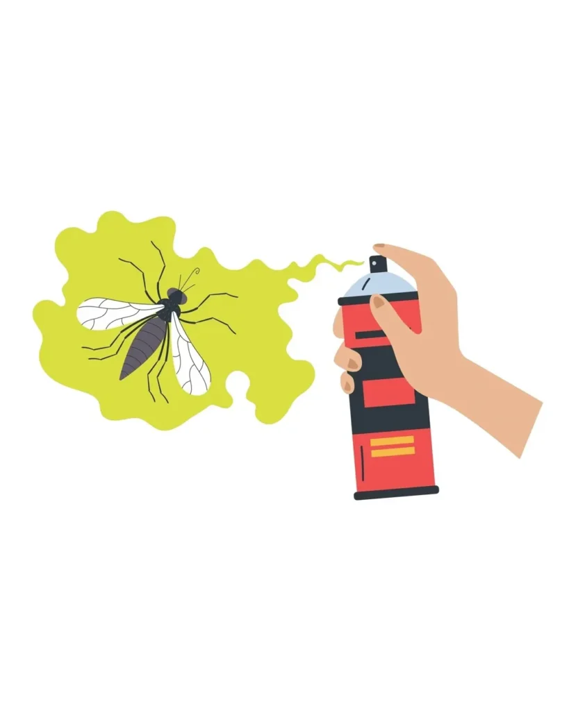 Say Goodbye to Bed Bugs with Radiance Cleaning – Best Bed Bug Control in Lucknow