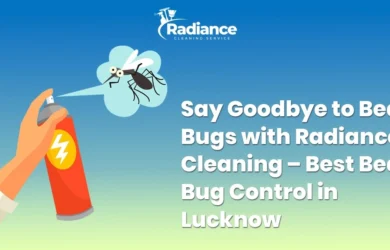 Say Goodbye to Bed Bugs with Radiance Cleaning – Best Bed Bug Control in Lucknow