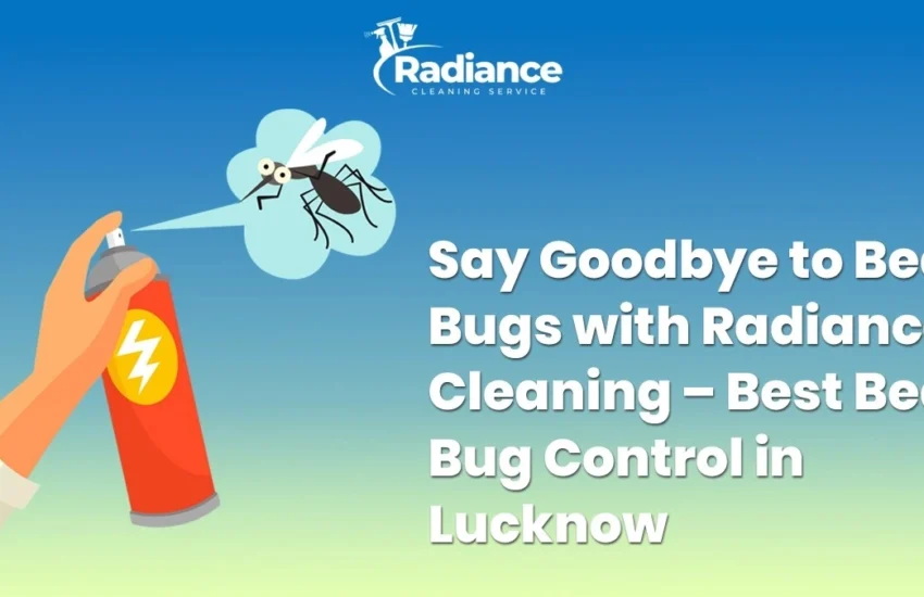 Say Goodbye to Bed Bugs with Radiance Cleaning – Best Bed Bug Control in Lucknow