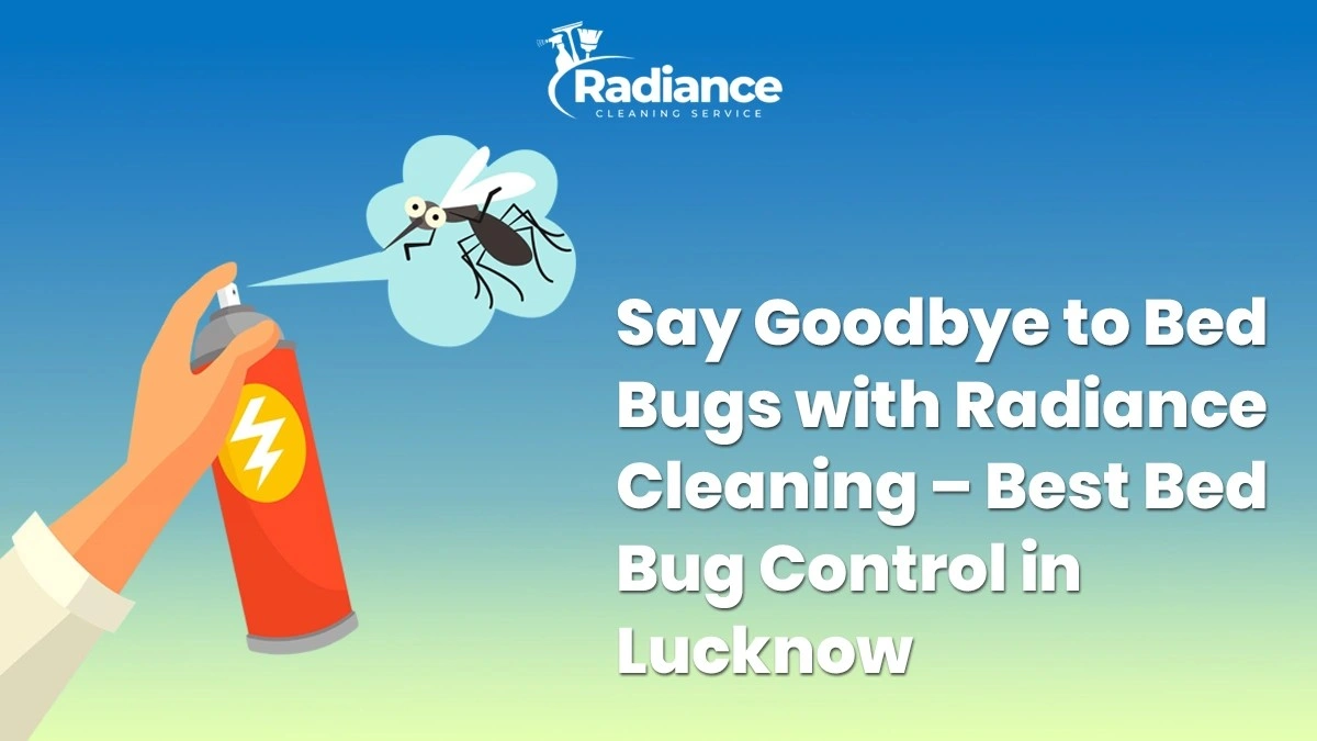 Say Goodbye to Bed Bugs with Radiance Cleaning – Best Bed Bug Control in Lucknow